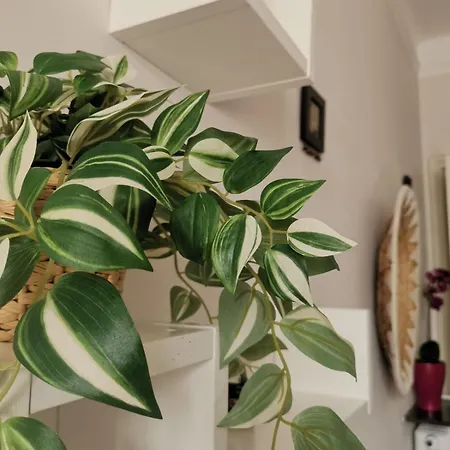 A Casa Di Luca Attico Di Design Genoa
