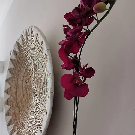 A Casa Di Luca Attico Di Design