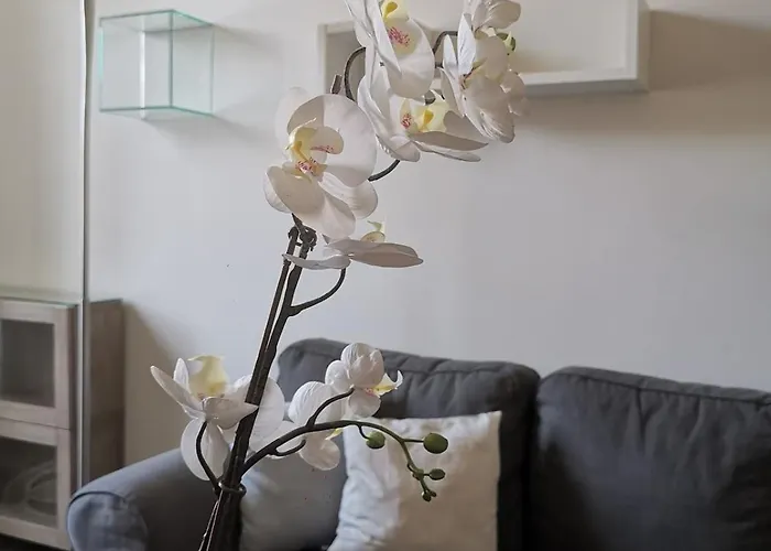A Casa Di Luca Attico Di Design דירה